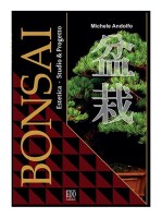 Bonsai - Estetica, Studio & Progetto, a cura di Michele Andolfo - Libro
