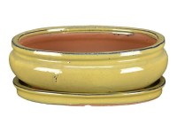 Vaso + sottovaso per bonsai ovale in gres smaltato giallo senape 27,5x22x8 cm - GA14VS