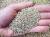 Vermiculite, agrivermiculite 1/3 mm (pallet da 36 sacchi da 100 lt)
