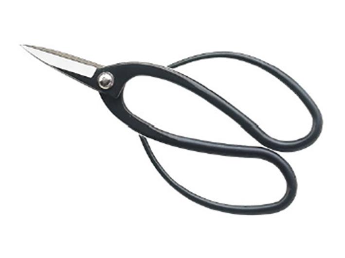 Short scissors in burnished stainless steel for bonsai roots, 195 mm (RS-195-2i / P)