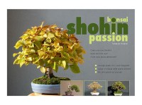 Bonsai Shoin Passion, a cura di Roland Schatzer - Libro