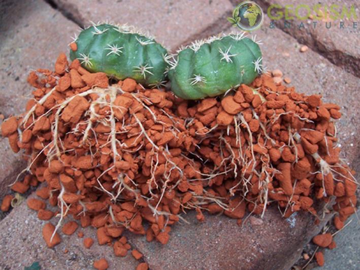 Cuxin Argile expansée à granulés de 8–16 mm Substrat pour cultures hors-sol