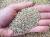 Vermiculite, agrivermiculite 1/3 mm (9 kg - 100 lt)