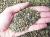 Sabbia silicea, quarzite 2/5 mm (1500 kg)