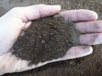 Lapillus volcanique dans le sable, lave volcanique 0/3 mm (10 kg - 10 lt)