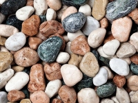 Pebbles, garden stones, Harlequin 20-50 mm (600 kg)