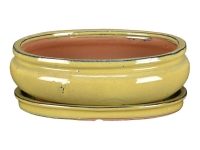 Mustard yellow glazed stoneware oval pot + saucer for bonsai 27,5x22x8 cm - GA14VS