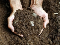 Chemical analysis of the soil for agronomic use, 8 parameters