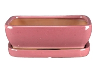 Rectangular pink glazed stoneware pot + saucer for bonsai 27x22x7 cm - GA6VS